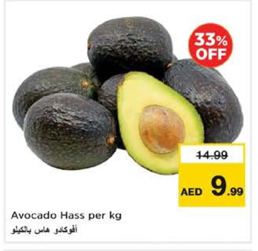 أفوكادو available at نستو هايبرماركت in الإمارات العربية المتحدة , الامارات - ٱلْفُجَيْرَة‎