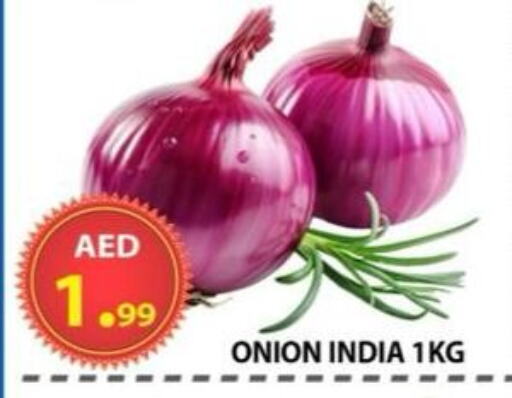 Fresh Vegetables in AL WAHDA DISCOUNTS CENTRE, UAE Offers - United Arab Emirates Onion from India available at AL WAHDA DISCOUNTS CENTRE in UAE - Sharjah / Ajman