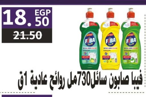 Cleaning in Al Habib Market, Egypt Offers - Egypt available at Al Habib Market in Egypt - Cairo