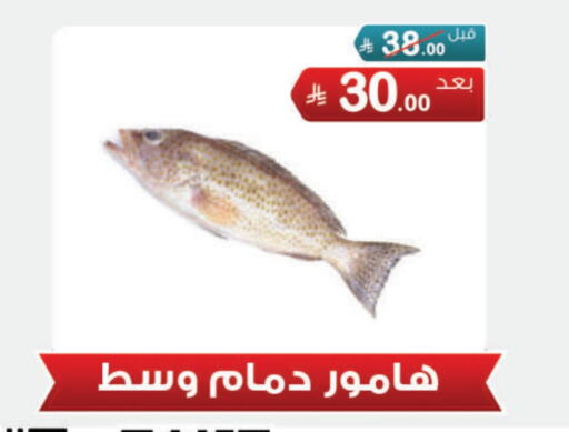 Fresh Fish in Al Rasheed Markets, Saudi Arabia Offers - Saudi Arabia available at Al Rasheed Markets in KSA, Saudi Arabia, Saudi - Riyadh