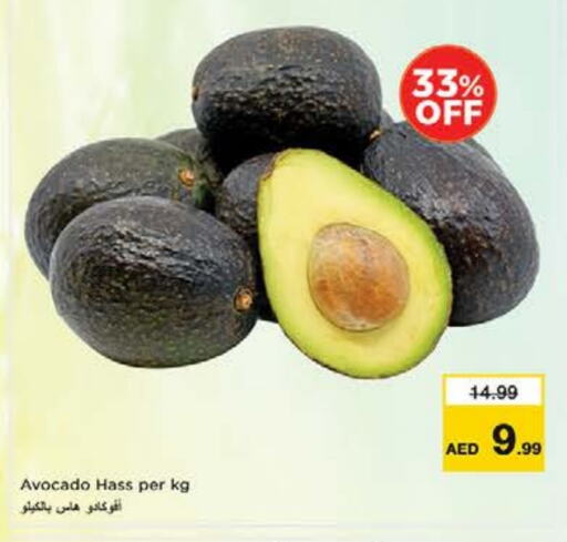 أفوكادو available at نستو هايبرماركت in الإمارات العربية المتحدة , الامارات - الشارقة / عجمان