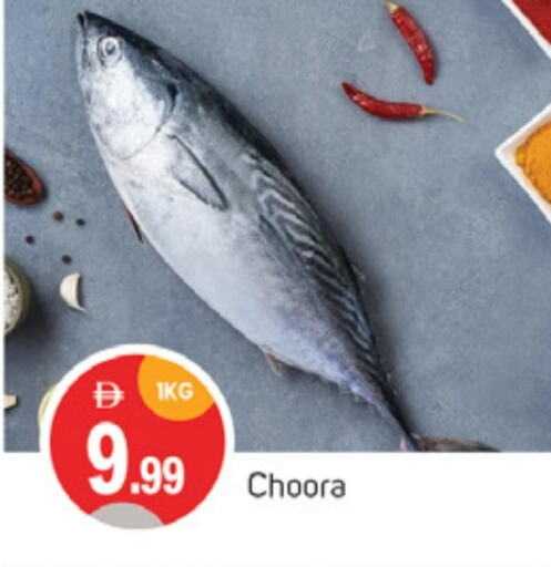 Fresh Fish in TALAL MARKET, UAE Offers - United Arab Emirates available at TALAL MARKET in UAE - Sharjah / Ajman