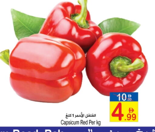 الخضروات الطازجة in سن اند ساند هايبر ماركت ذ.م.م, UAE Offers - الإمارات العربية المتحدة فلفل / فليفلة available at سن اند ساند هايبر ماركت ذ.م.م in الإمارات العربية المتحدة , الامارات - رَأْس ٱلْخَيْمَة