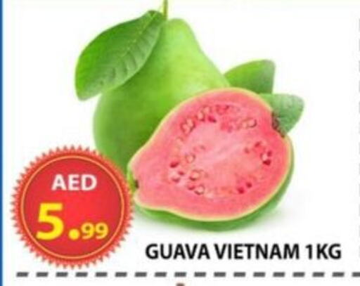 فاكهة طازجة in مركز الوحدة للتخفيضات, UAE Offers - الإمارات العربية المتحدة جوافة from Vietnam available at مركز الوحدة للتخفيضات in الإمارات العربية المتحدة , الامارات - الشارقة / عجمان
