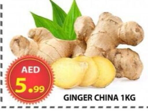 Ginger from China available at AL WAHDA DISCOUNTS CENTRE in UAE - Sharjah / Ajman