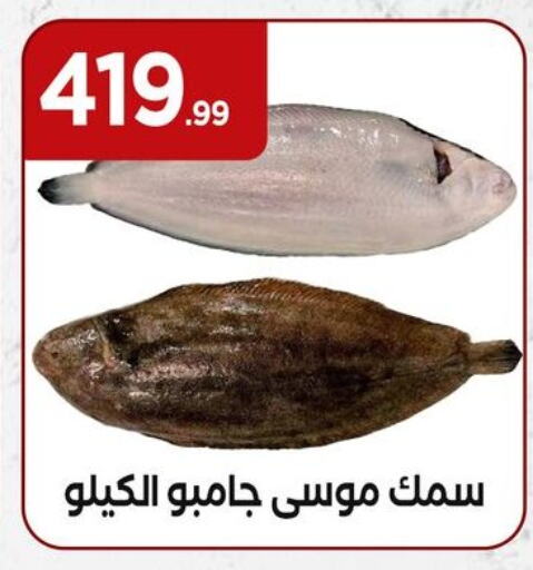 available at MartVille in Egypt - Cairo