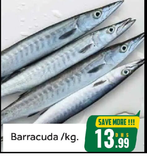 Fresh Fish in FOODZONE HYPERMARKET, UAE Offers - United Arab Emirates available at FOODZONE HYPERMARKET in UAE - Sharjah / Ajman