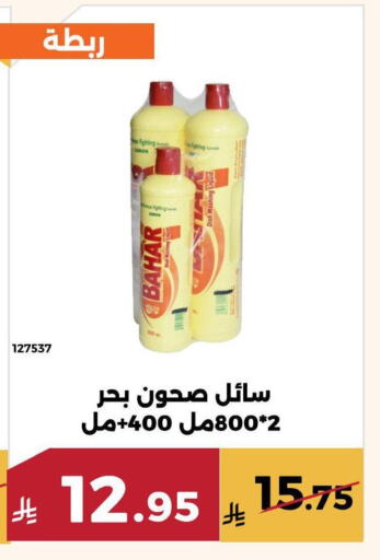 Cleaning in Forat Garden, Saudi Arabia Offers - Saudi Arabia BAHAR available at Forat Garden in KSA, Saudi Arabia, Saudi - Mecca