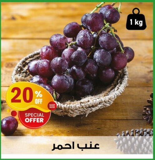 Grapes available at Al Habib Market in Egypt - Cairo