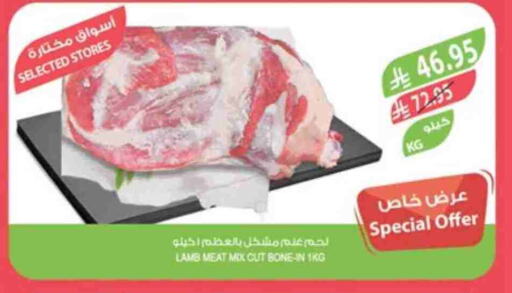 Meat - Fresh & Chilled in Farm , Saudi Arabia Offers - Saudi Arabia Mutton / Lamb available at Farm in KSA, Saudi Arabia, Saudi - Al Hasa