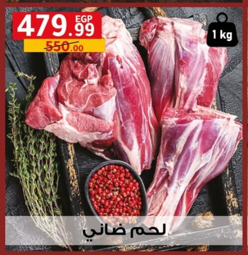 Meat - Fresh & Chilled in Al Habib Market, Egypt Offers - Egypt available at Al Habib Market in Egypt - Cairo