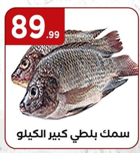 available at MartVille in Egypt - Cairo