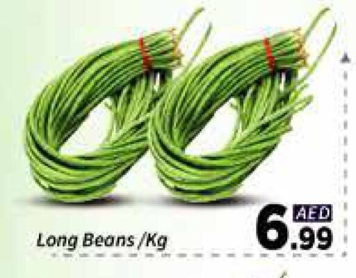 Fresh Vegetables in AIKO Mall and AIKO Hypermarket, UAE Offers - United Arab Emirates Beans available at AIKO Mall and AIKO Hypermarket in UAE - Dubai