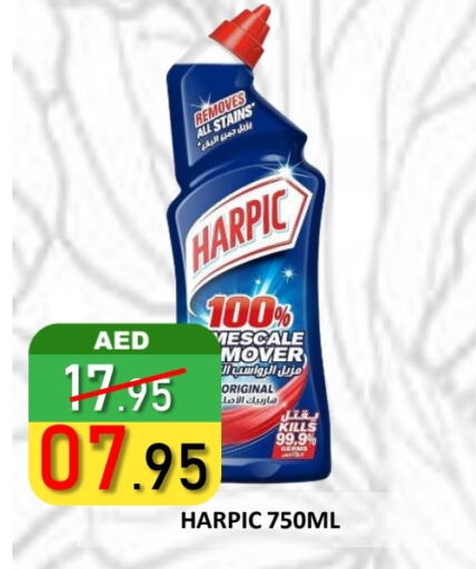 منظف المرحاض / البالوعة available at رويال جلف هايبرماركت in الإمارات العربية المتحدة , الامارات - أبو ظبي