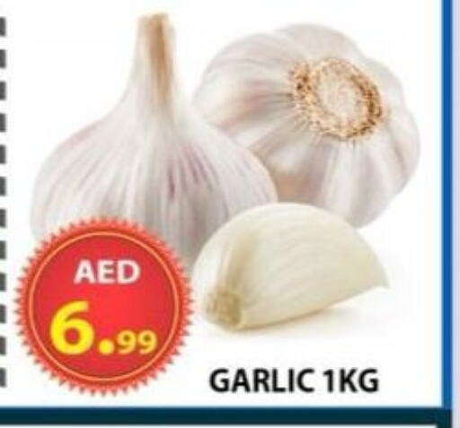 Fresh Vegetables in AL WAHDA DISCOUNTS CENTRE, UAE Offers - United Arab Emirates Garlic available at AL WAHDA DISCOUNTS CENTRE in UAE - Sharjah / Ajman