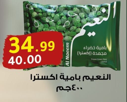 Frozen Fruits & Veg in Al Habib Market, Egypt Offers - Egypt available at Al Habib Market in Egypt - Cairo
