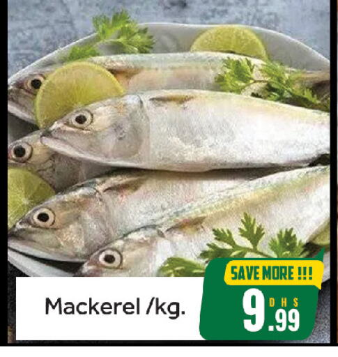 Fresh Fish in FOODZONE HYPERMARKET, UAE Offers - United Arab Emirates available at FOODZONE HYPERMARKET in UAE - Sharjah / Ajman