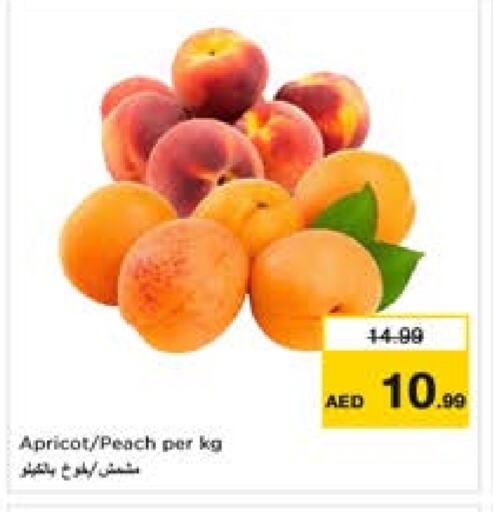 Apricot Peach available at لاست تشانس in الإمارات العربية المتحدة , الامارات - ٱلْفُجَيْرَة‎