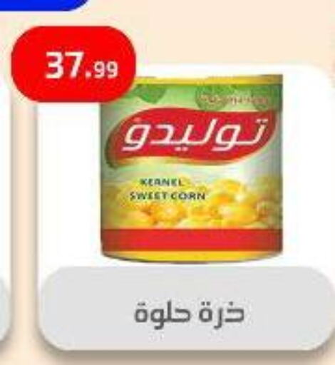 Canned & Packeted in Ehab Prince, Egypt Offers - Egypt available at Ehab Prince in Egypt - Cairo