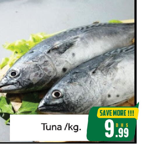 Fresh Fish in FOODZONE HYPERMARKET, UAE Offers - United Arab Emirates Tuna available at FOODZONE HYPERMARKET in UAE - Sharjah / Ajman