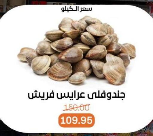 Fresh Fish in Beit El Gomla, Egypt Offers - Egypt available at Beit El Gomla in Egypt - Cairo