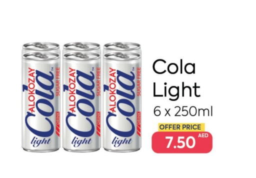 available at  AlokozayShop in UAE - Dubai