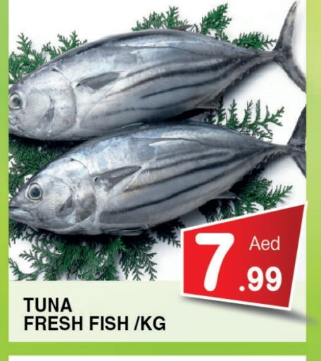 Fresh Fish in Ain Al Madina Hypermarket, UAE Offers - United Arab Emirates Tuna available at Ain Al Madina Hypermarket in UAE - Sharjah / Ajman