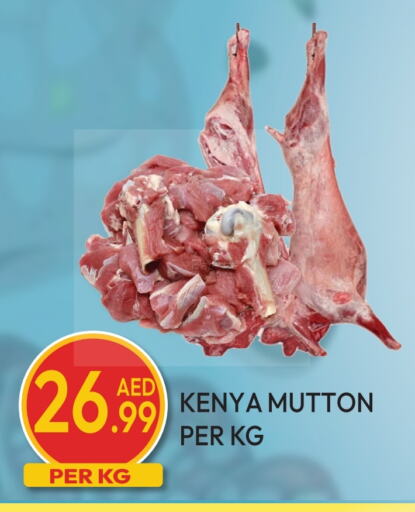 Mutton / Lamb available at Dream Land in UAE - Dubai