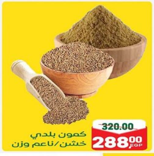 available at جلهوم ماركت in Egypt - القاهرة