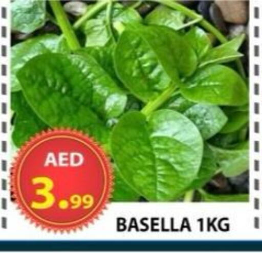 الخضروات الطازجة in مركز الوحدة للتخفيضات, UAE Offers - الإمارات العربية المتحدة available at مركز الوحدة للتخفيضات in الإمارات العربية المتحدة , الامارات - الشارقة / عجمان