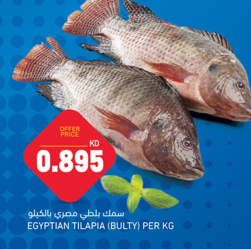 Fresh Fish in Oncost, Kuwait Offers - Kuwait available at Oncost in Kuwait - Ahmadi Governorate