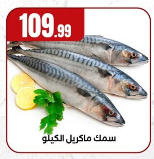 available at MartVille in Egypt - Cairo