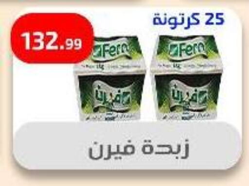 FERN available at Ehab Prince in Egypt - Cairo