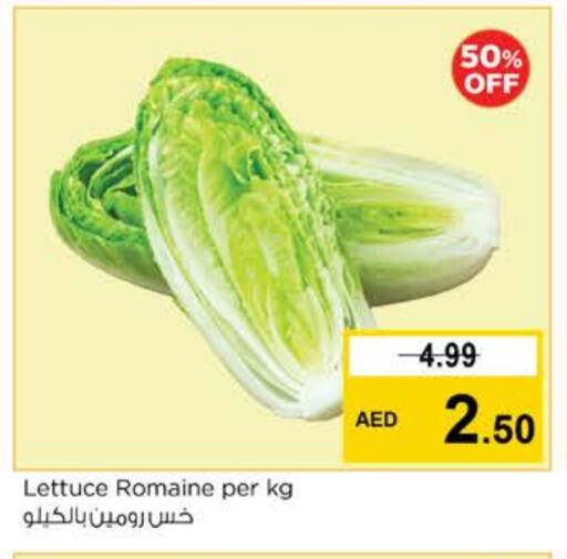 Fresh Vegetables in Nesto Hypermarket, UAE Offers - United Arab Emirates Lettuce available at Nesto Hypermarket in UAE - Sharjah / Ajman