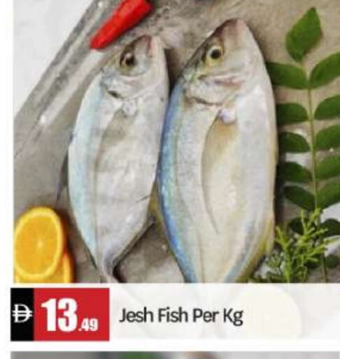 available at BIGmart in UAE - Abu Dhabi