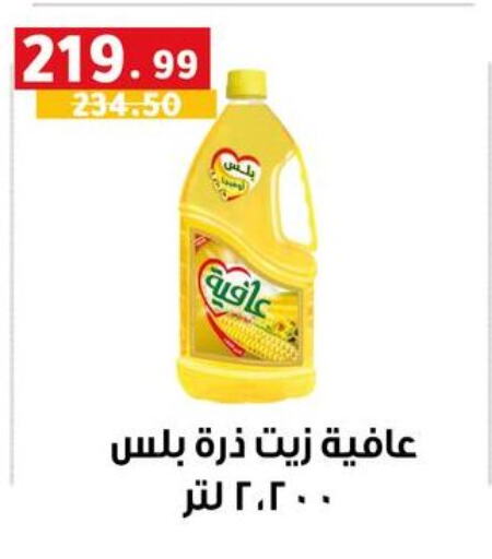 إندومي زيت الذرة available at الحبيب ماركت in Egypt - القاهرة