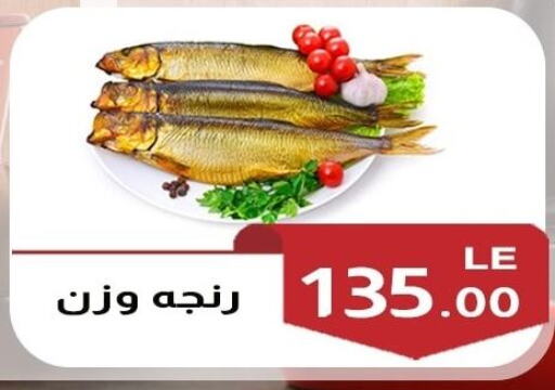available at A2Z هايبر in Egypt - القاهرة