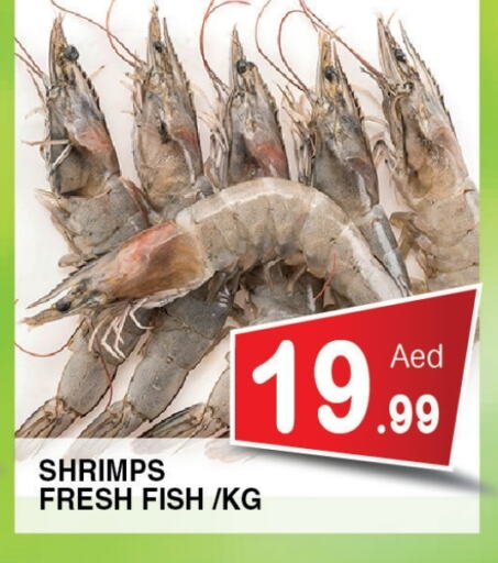 Fresh Fish in Ain Al Madina Hypermarket, UAE Offers - United Arab Emirates available at Ain Al Madina Hypermarket in UAE - Sharjah / Ajman
