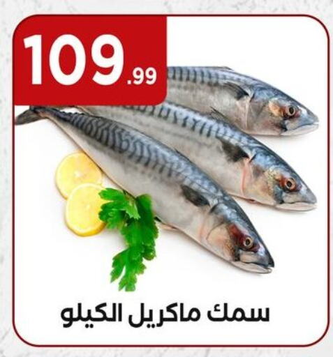 available at MartVille in Egypt - Cairo