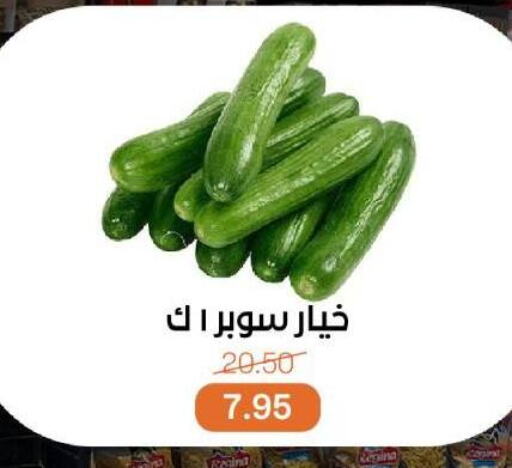 Cucumber available at Beit El Gomla in Egypt - Cairo