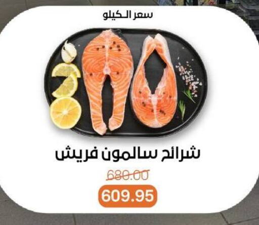 Fresh Fish in Beit El Gomla, Egypt Offers - Egypt available at Beit El Gomla in Egypt - Cairo