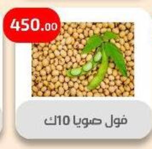 Canned & Packeted in Ehab Prince, Egypt Offers - Egypt available at Ehab Prince in Egypt - Cairo