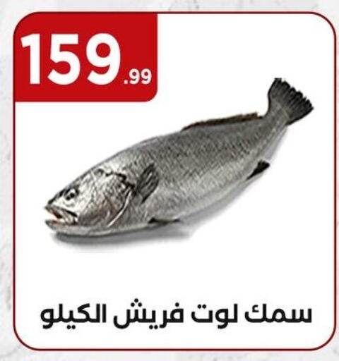 available at MartVille in Egypt - Cairo