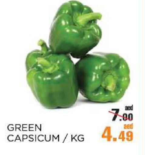 Chilli / Capsicum available at OK Hypermarket LLC SPC in UAE - Abu Dhabi