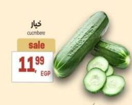 Fresh Vegetables in El.Husseini supermarket , Egypt Offers - Egypt available at El.Husseini supermarket in Egypt - Cairo