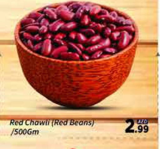 Pulses, Beans & Grains in AIKO Mall and AIKO Hypermarket, UAE Offers - United Arab Emirates available at AIKO Mall and AIKO Hypermarket in UAE - Dubai