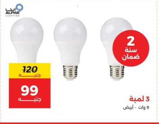 الإضاءة in رنين, Egypt Offers - Egypt available at رنين in Egypt - القاهرة