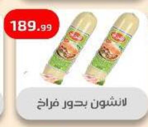 مقبلات و لحوم باردة in مؤسسة ايهاب البرنس, Egypt Offers - Egypt available at مؤسسة ايهاب البرنس in Egypt - القاهرة