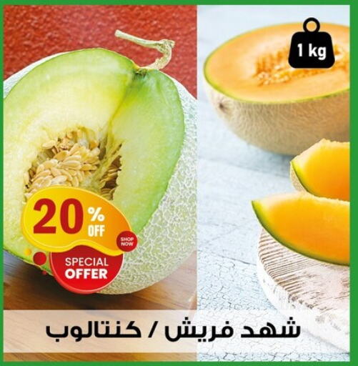 available at Al Habib Market in Egypt - Cairo