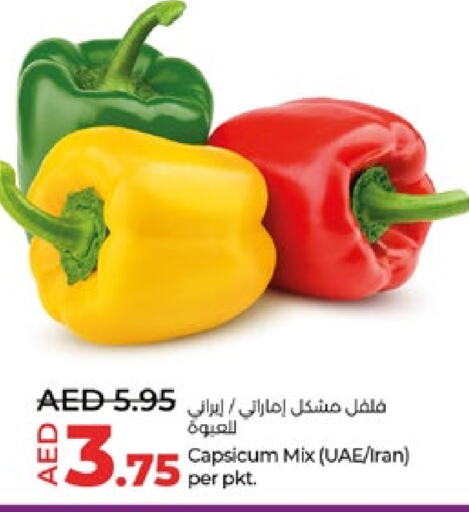 فلفل / فليفلة from Iran available at لولو هايبرماركت in الإمارات العربية المتحدة , الامارات - أبو ظبي